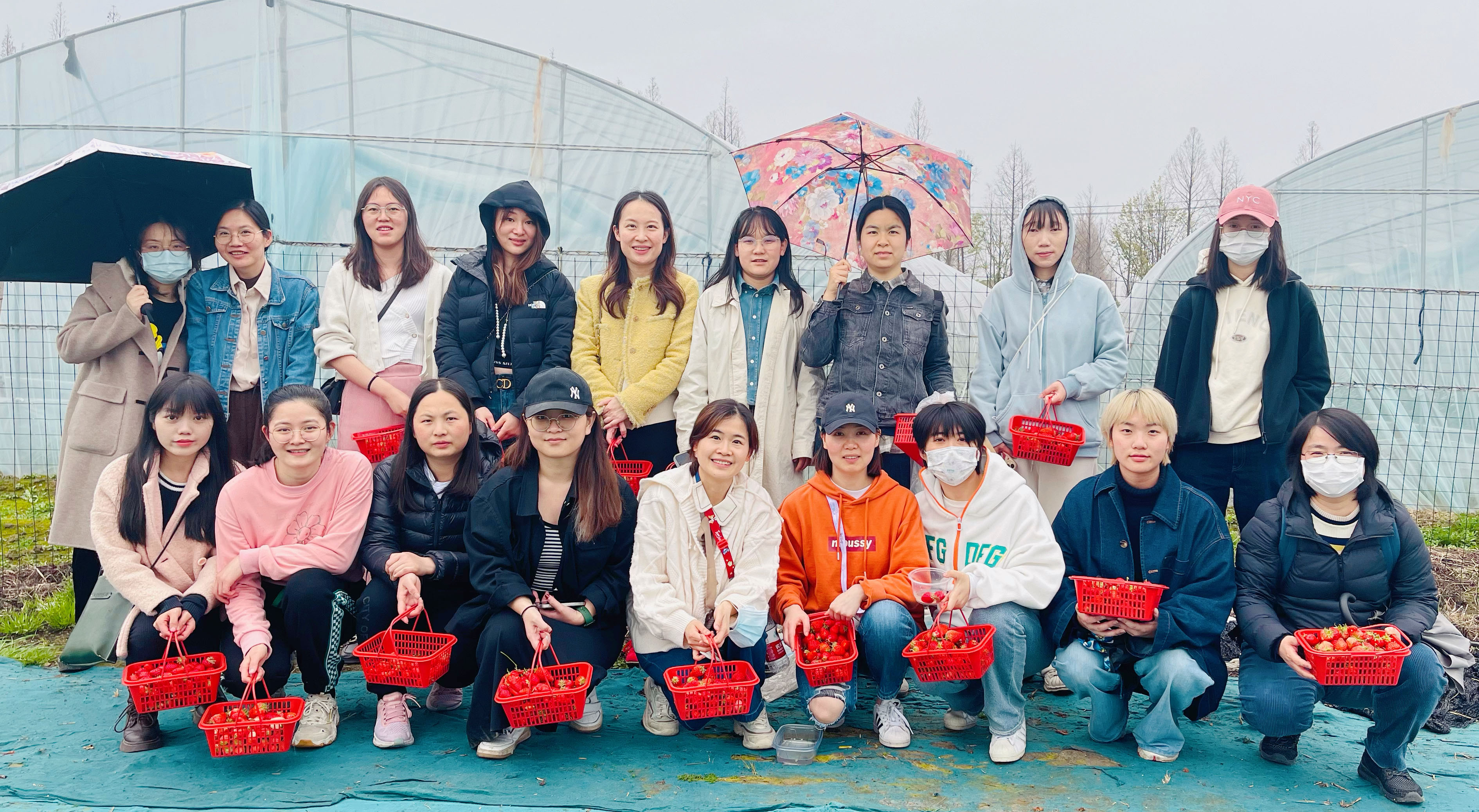 中茶拍公司开展“庆三八”草莓采摘活动